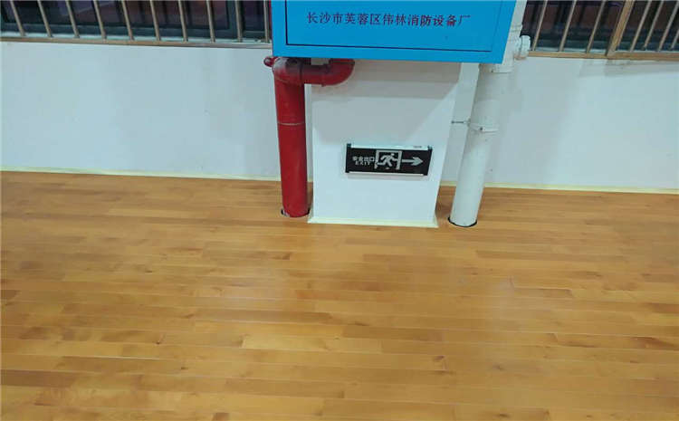 新疆專業(yè)運(yùn)動(dòng)木地板哪家公司好