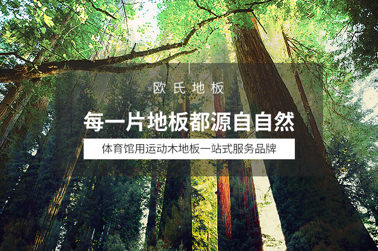 體育館運動木地板招標文件(運動木地板招標) 體育館運動木地板招標文件(運動木地板招標)