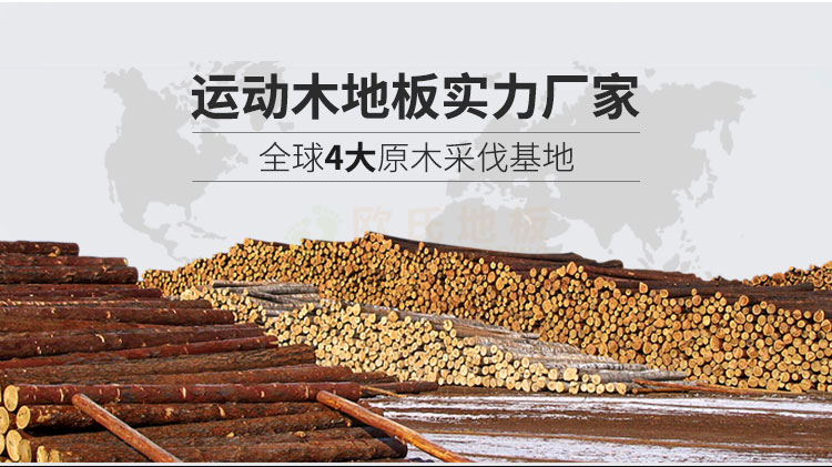 體育館運動木地板招標文件(運動木地板招標) 體育館運動木地板招標文件(運動木地板招標)