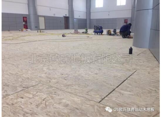 中國(guó)人民銀行玉樹(shù)藏族自治州中心支行籃球館木地板案例