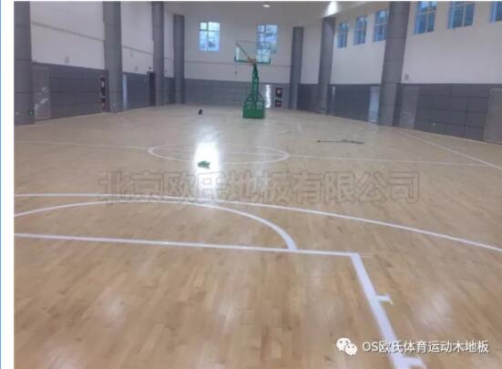 中國(guó)人民銀行玉樹(shù)藏族自治州中心支行籃球館木地板案例