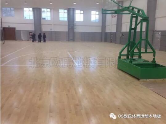中國(guó)人民銀行玉樹(shù)藏族自治州中心支行籃球館木地板案例