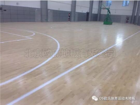 中國(guó)人民銀行玉樹(shù)藏族自治州中心支行籃球館木地板案例